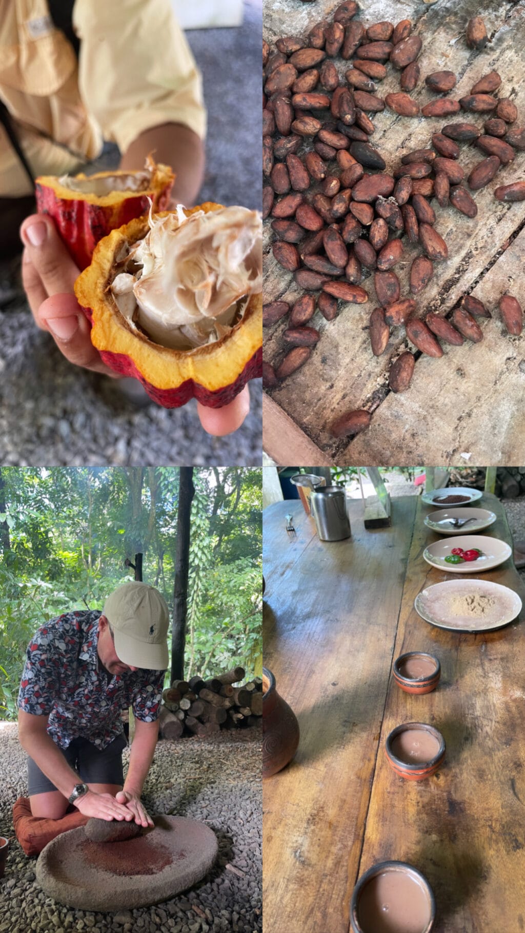 Puerto Viejo de Sarapiqui, Kakaotour